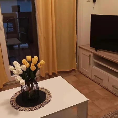 Druzinski Apartmaji Punat-krk 普纳特